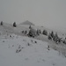 Ciucaș Mountains: there is finally snow!