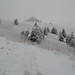 Ciucaș Mountains: there is finally snow!