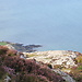 Climbing Bray Head