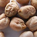 Cocido