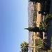 Coral bay