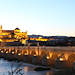 Cordoba III - From a reminder of homeland to the symbol of relig