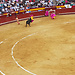 Corrida in Valencia - LIVE dabei!