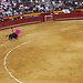 Corrida in Valencia - LIVE dabei!