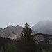 cortina