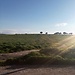 Cosas buenas y malas de vivir en España y Córdoba