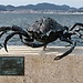 Cosas Que Hacer En Vigo
