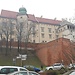 CRACOVIA