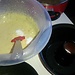 Cream filling pound cake
