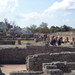 Parco Archelogico di Paestum