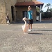 Cyprus 2017/2018 - erasmus
