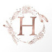 Harshi