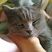 Oscar