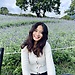 敬雅