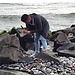 Filiberto