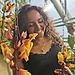 Amina