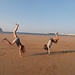 Ainhoa Arriero