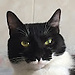Edoardo