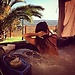 Catarina