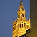 Untitled photo
