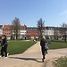 Danimarka