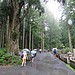 Day 22 | Visiting Koyasan-Okunoin, Kongobuji and Hojo-in (and ni