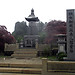 Japón
