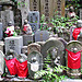 Day 22 | Visiting Koyasan-Okunoin, Kongobuji and Hojo-in (and ni