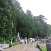 Day 22 | Visiting Koyasan-Okunoin, Kongobuji and Hojo-in (and ni