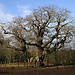 Day Trips from Nottingham - Places to visit and excursions from