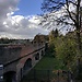 Ulm