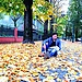 22 year boy with one more friend of 19 year looking for indepent flat of 2 bedroom
