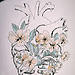 Rebeca