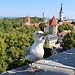 Descubriendo Estonia: Tallinn parte uno (2/3)