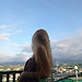 Aroa _