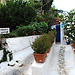 Discovering Athens by George