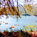 Discovery of a hidden place: Gerês