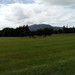 Domingo 12 de Junio 2016 - Viaje a The Ring of Kerry