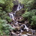 Domingo 12 de Junio 2016 - Viaje a The Ring of Kerry
