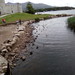 Domingo 12 de Junio 2016 - Viaje a The Ring of Kerry