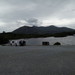 Domingo 12 de Junio 2016 - Viaje a The Ring of Kerry