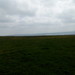 Domingo 5 de Junio 2016 - Segundo viaje a Cliffs of Moher