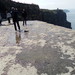 Domingo 8 de Mayo 2016 - Primer viaje a Cliffs of Moher