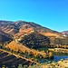 Douro Valley - a UNESCO World Heritage. No wonders why!