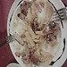 DOVE MANGIARE NELLA CITTÀ DI LUCCA? 3