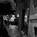 "Dubh Linn" | dbl