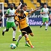 Dynamo Dresden!