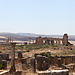 Dzień drugi w  Fez oraz okolice Volubilis