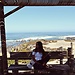 Catarina
