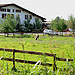 agriturismo